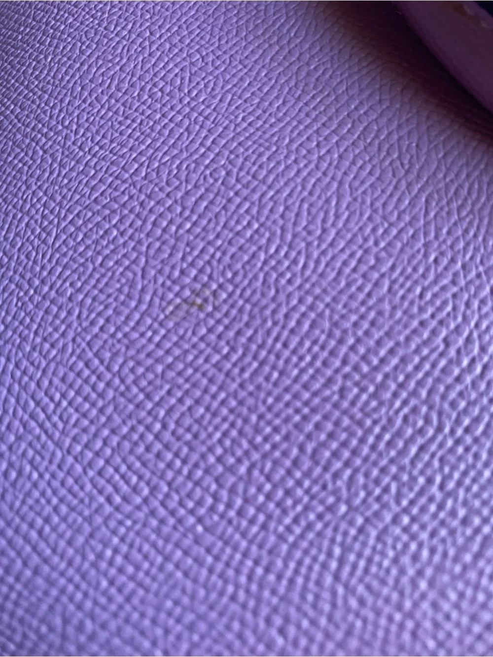 Purple coach bag